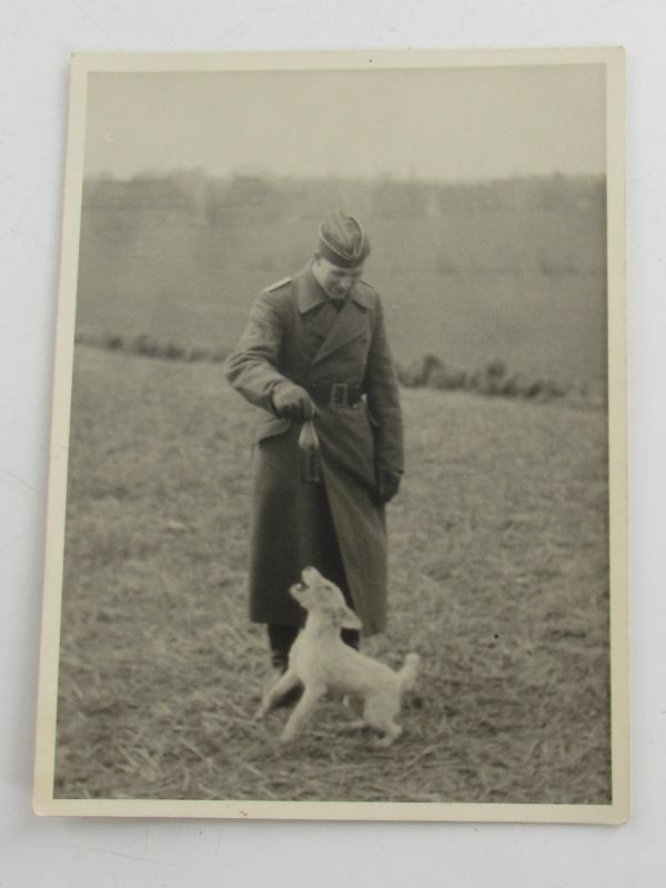 Portrait Photo of a Wehrmacht Soldier with his Dog